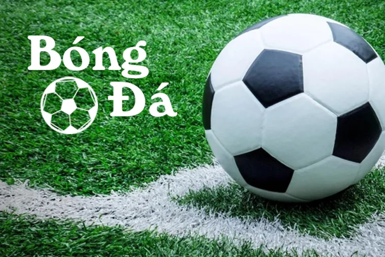 Tìm Hiểu Luật Bóng Trong Cuộc Và Bóng Ngoài Cuộc Chuẩn Xác Nhất 2026