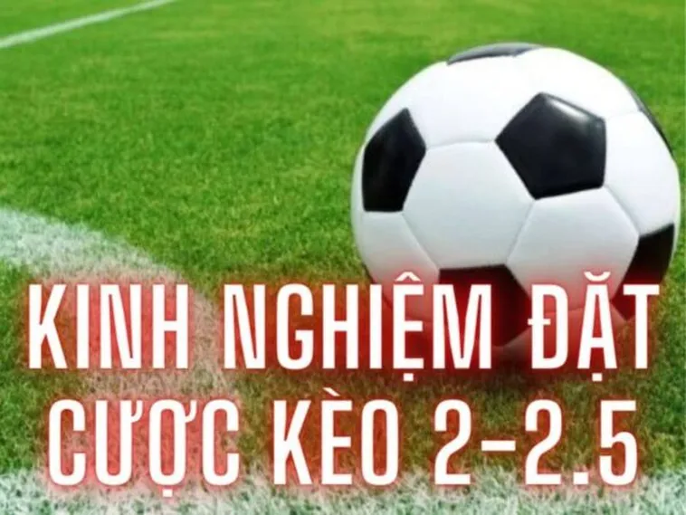 Hướng Dẫn Chi Tiết Cách Chơi Kèo 2.25 Dành Cho Cược Thủ Mới Bắt Đầu