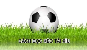 Hướng Dẫn Cách Chơi Kèo Tài Xỉu Hiệp 1 Hiệu Quả Nhất