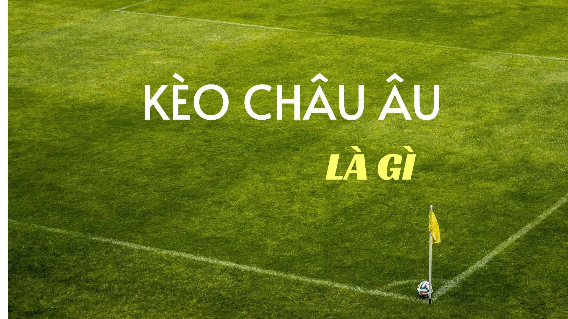 Bí Kíp Soi Kèo Châu Âu Chuẩn Xác Nhất Dành Cho Tân Thủ