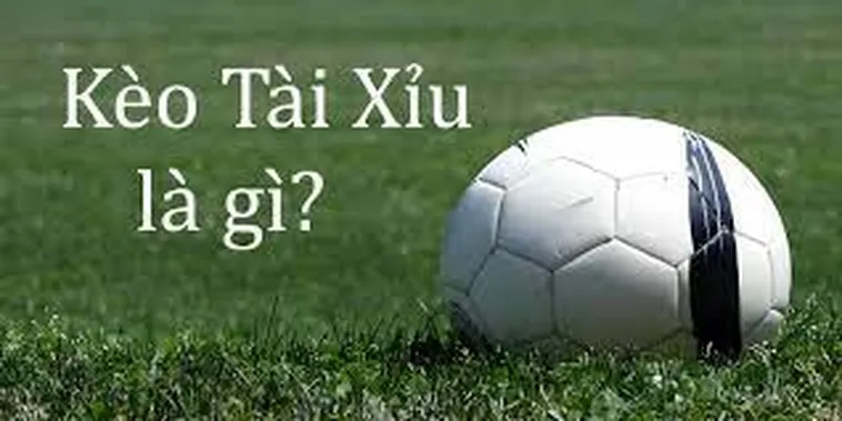 Hướng Dẫn Chi Tiết Cách Chơi Kèo Tài Xỉu Bóng Đá Hiệu Quả Nhất