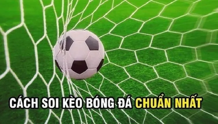 Cách Chơi Kèo Rung Trong Bóng Đá: Bí Kíp Đánh Nhanh Thắng Lớn